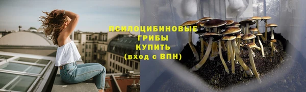 хмурый Армянск