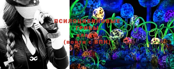 дживик Арсеньев
