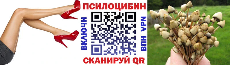купить наркоту  Октябрьск  Псилоцибиновые грибы Psilocybine cubensis 